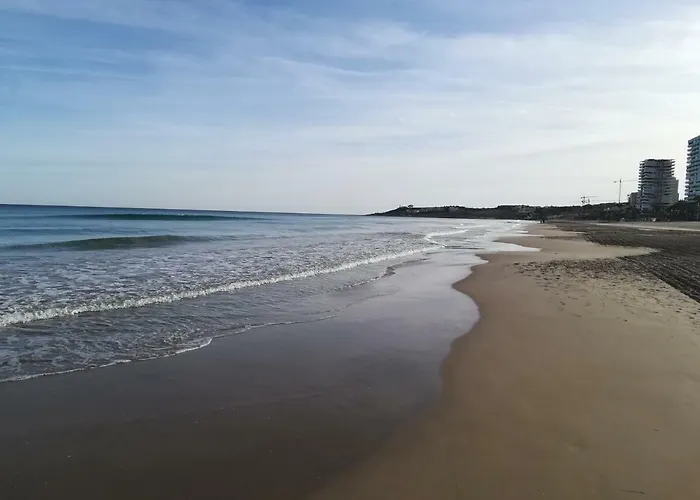 Playa San Juan Apartamento Alicante